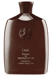 250ml oribe shampoo